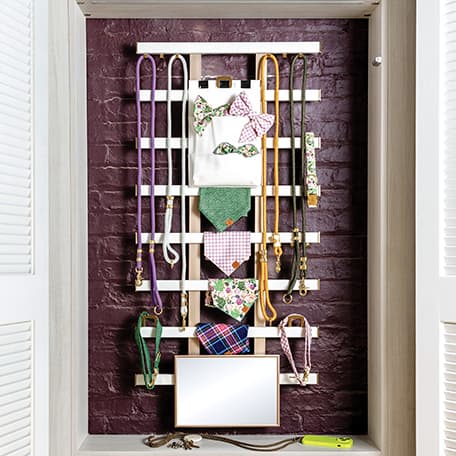 Organizador de pared para joyas con estante colgado en el armario de California Closets